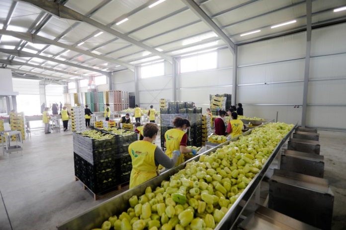 Eksportuesit shqiptarë mund të eksportojnë produkte bujqësore pa taksë doganore në BE deri në vitin 2025