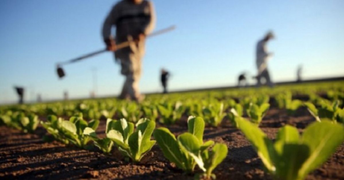 Konfindustria, të merren masa për institucionet përgjegjëse për pezullimin e fondeve të BE-së