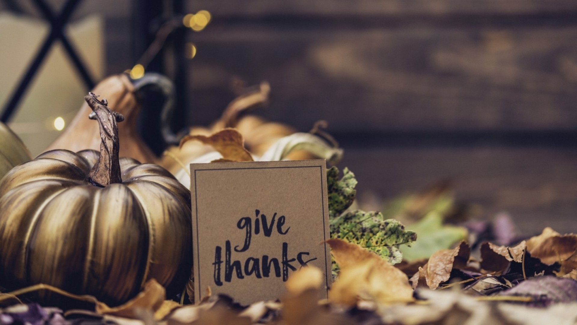 6 arsye për të vlerësuar sipërmarrjen në këtë Ditë Falenderimesh