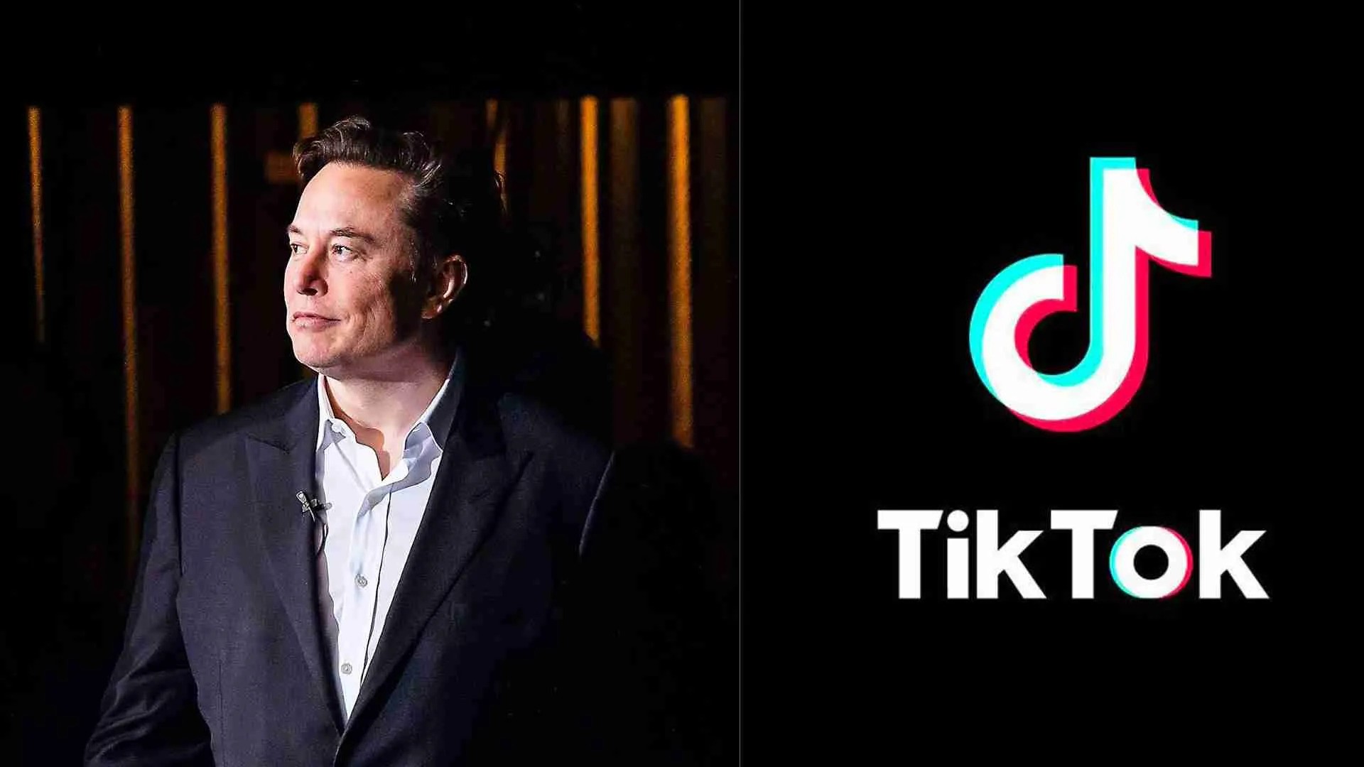 Sa mund t'i kushtojë Elon Musk blerja e TikTok?