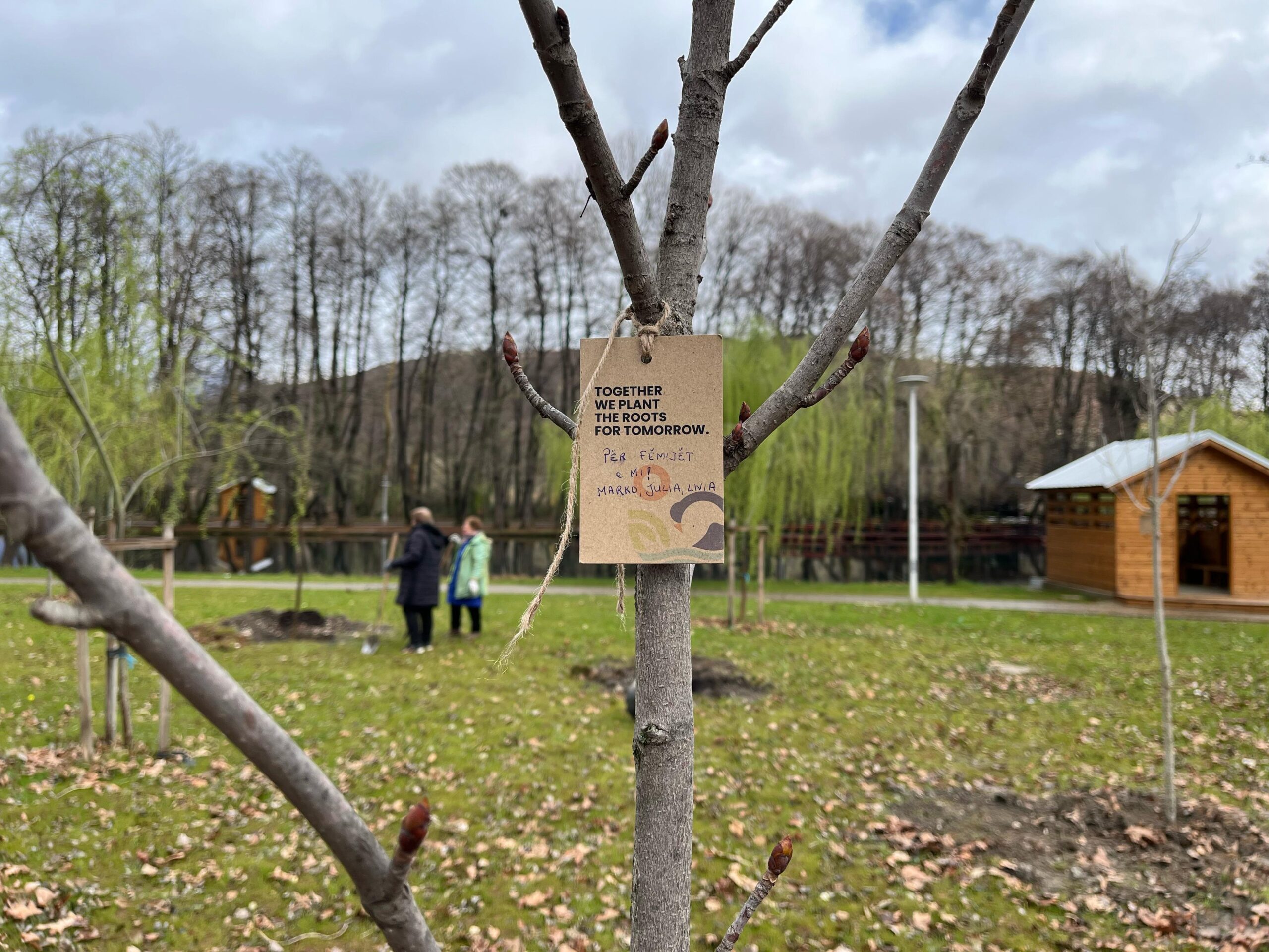 Mbill një pemë, kontribuo në trashëgiminë e Parkut Drilon-Tushemisht