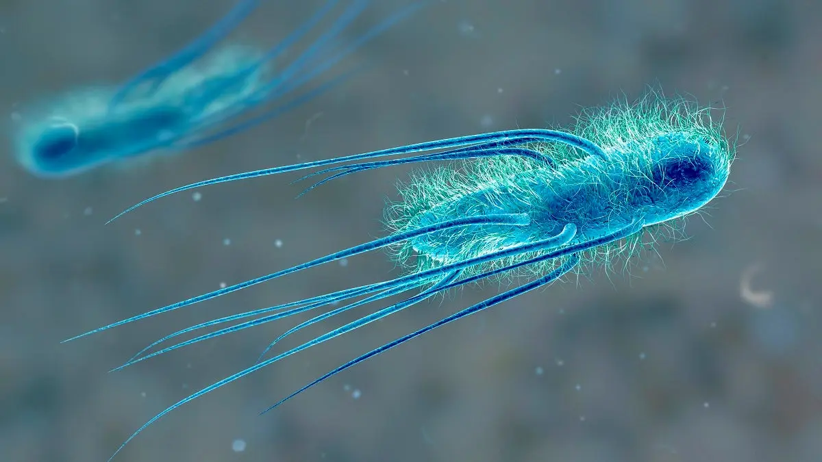 Shkencëtarët thonë se kanë krijuar një formë të re jete, më “të përsosur” se ajo që po jetojmë