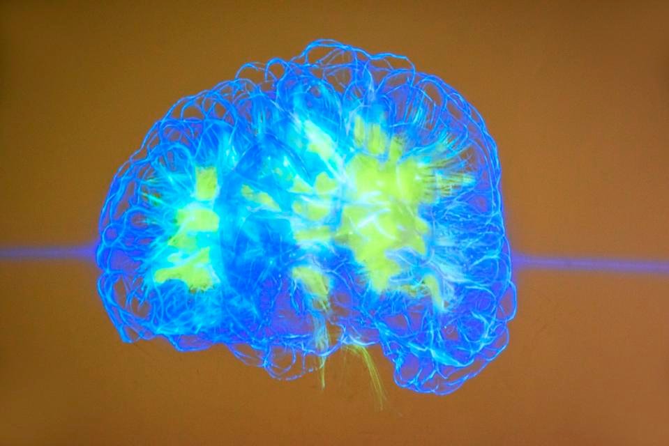 A mund të mësojë dhe të evoluojë AI si truri i njeriut? Kërkimi i guximshëm i Pathway mendon se po