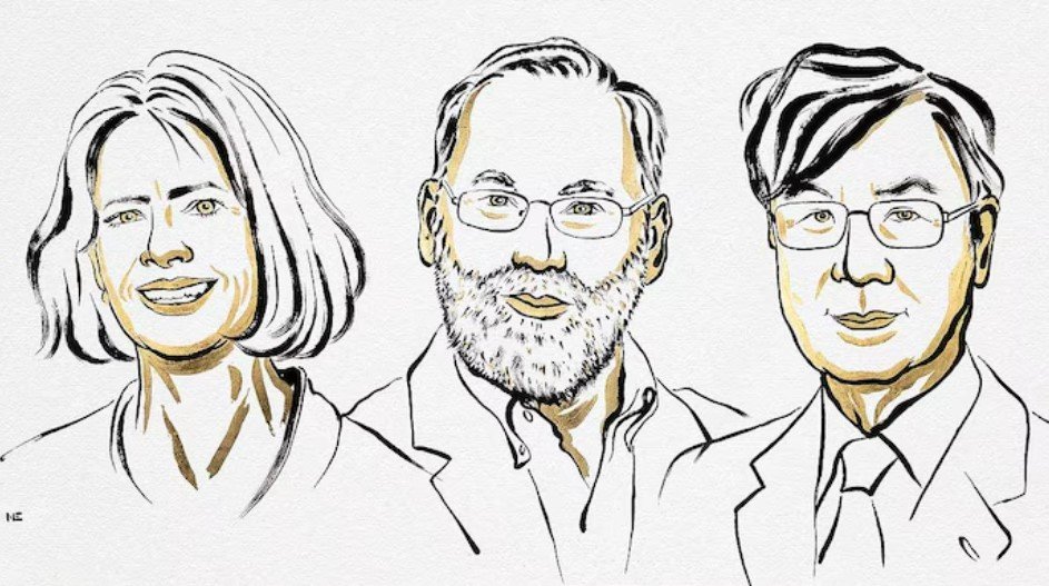 Çmimi Nobel 2025 në Mjekësi: Zbulohet çelësi i vetëkontrollit të sistemit imunitar