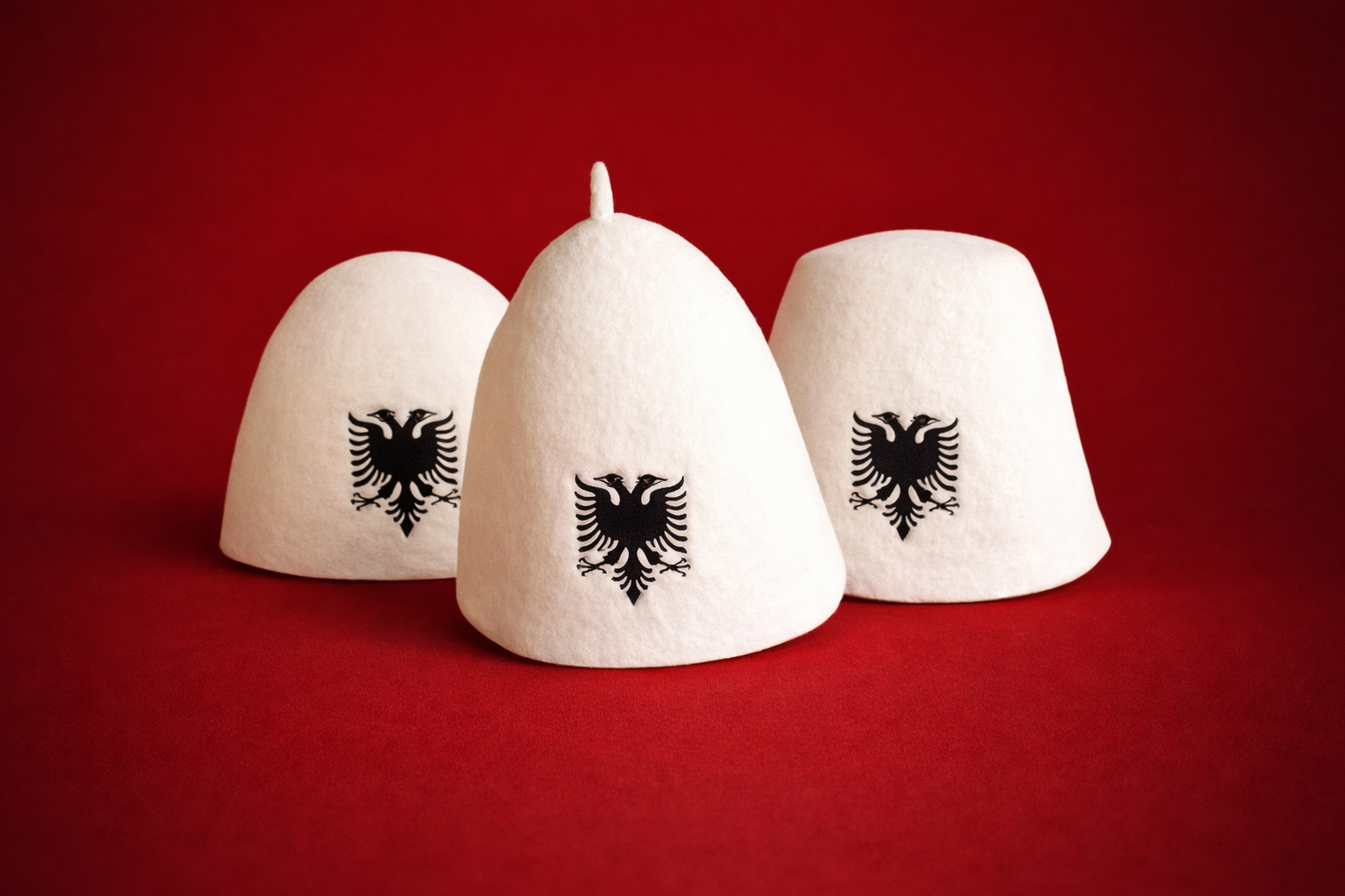 Plisi shqiptar drejt njohjes nga UNESCO