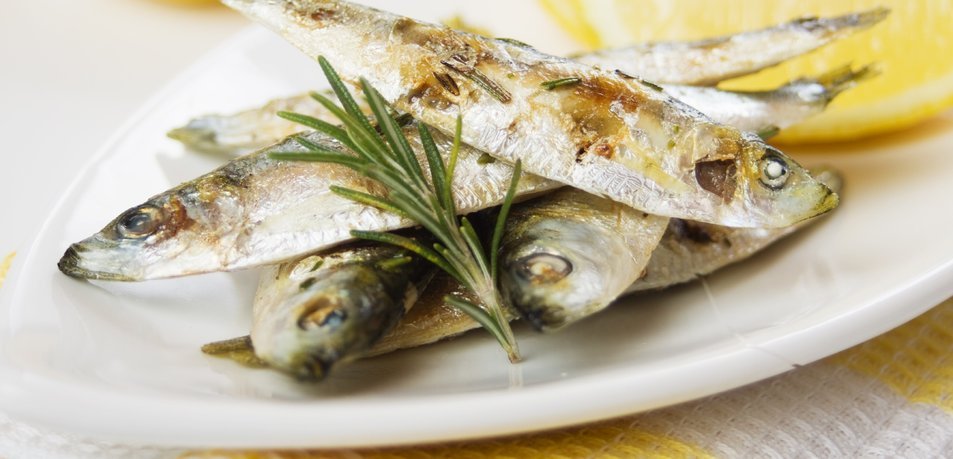 peshku-me-i-lire-dhe-me-i-shendetshem-ne-bote